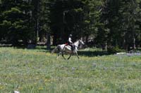 1107BH_243