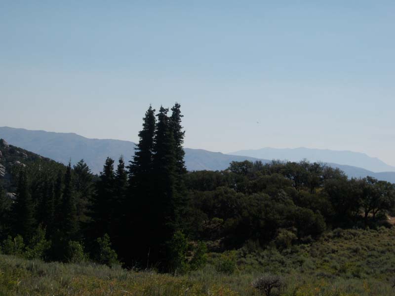 P8180234