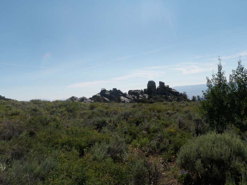 P8180249