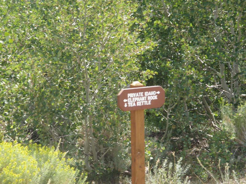 P8180306