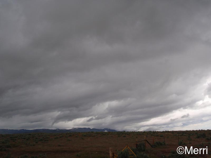 1105OF_162