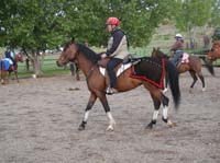 1105OF_181
