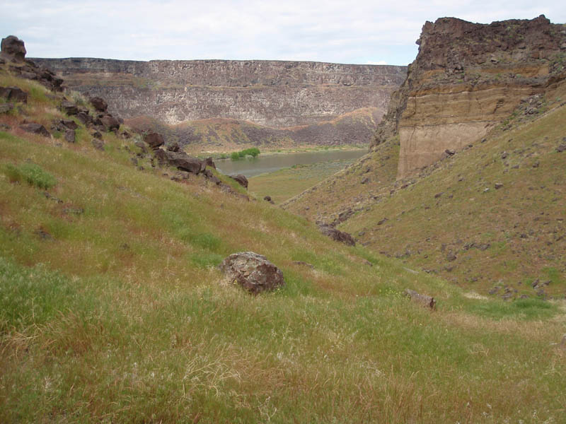 P5210391