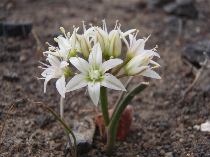 P5210396