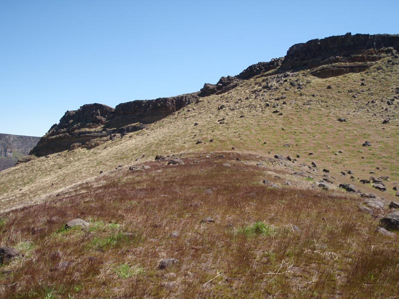 P5010655