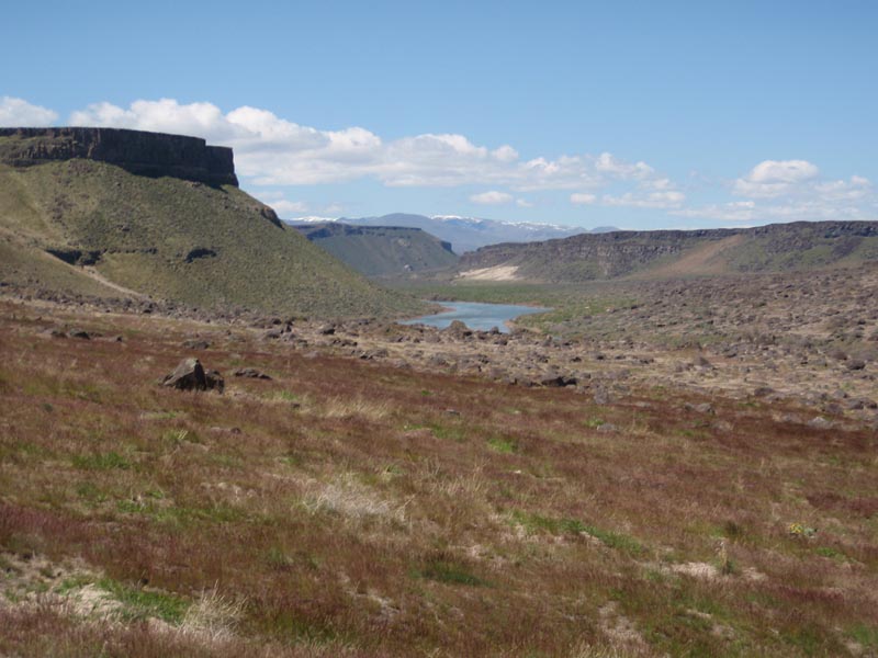 P5010669