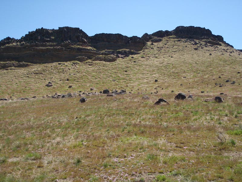 P5010678