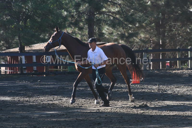 1109NAETC_028