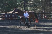 1109NAETC_028