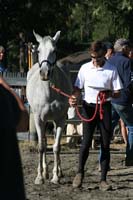 1109NAETC_039
