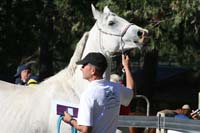 1109NAETC_041