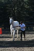 1109NAETC_043