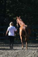 1109NAETC_046