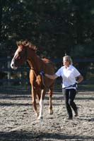 1109NAETC_047
