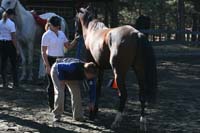 1109NAETC_048
