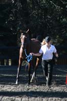1109NAETC_049