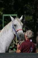1109NAETC_110