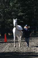 1109NAETC_124