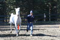 1109NAETC_126