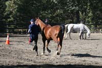 1109NAETC_129