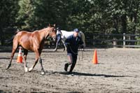 1109NAETC_130