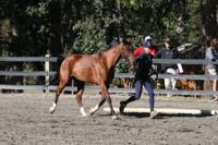 1109NAETC_132