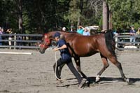 1109NAETC_133