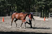 1109NAETC_134