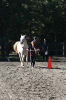 1109NAETC_145