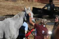 1109NAETC_146