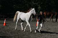 1109NAETC_147