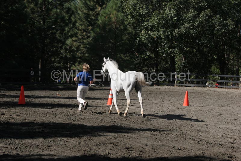 1109NAETC_172