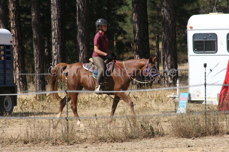 1109NAETC_201