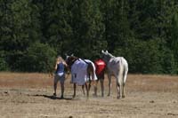 1109NAETC_191