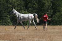 1109NAETC_192