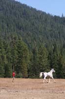1109NAETC_193