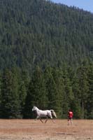 1109NAETC_194