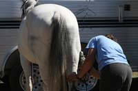 1109NAETC_195