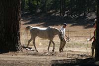 1109NAETC_206