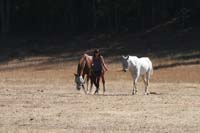 1109NAETC_209