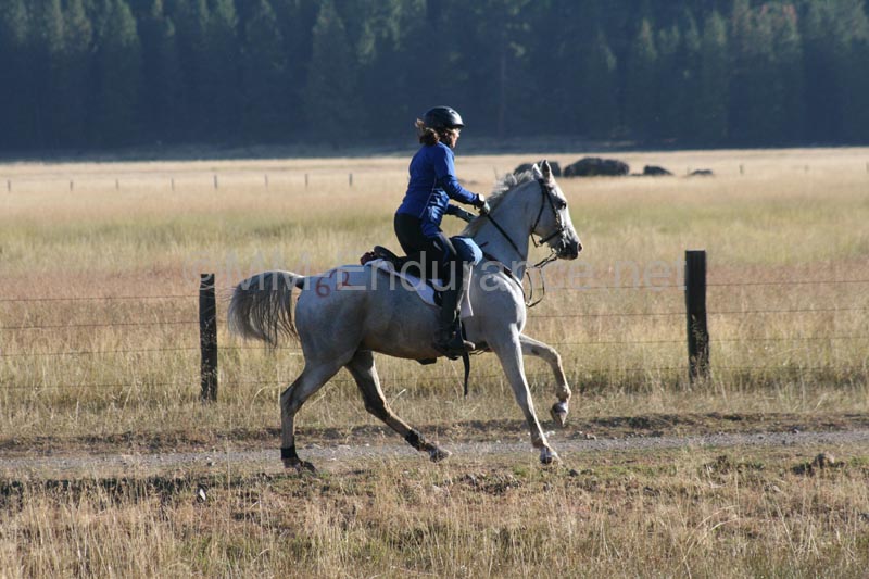 1109NAETC_355