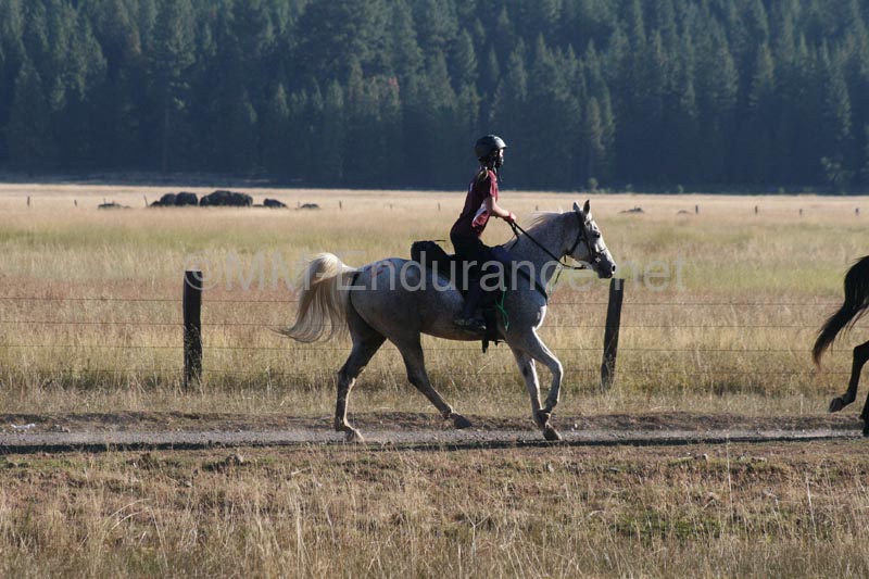 1109NAETC_359