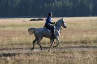 1109NAETC_356