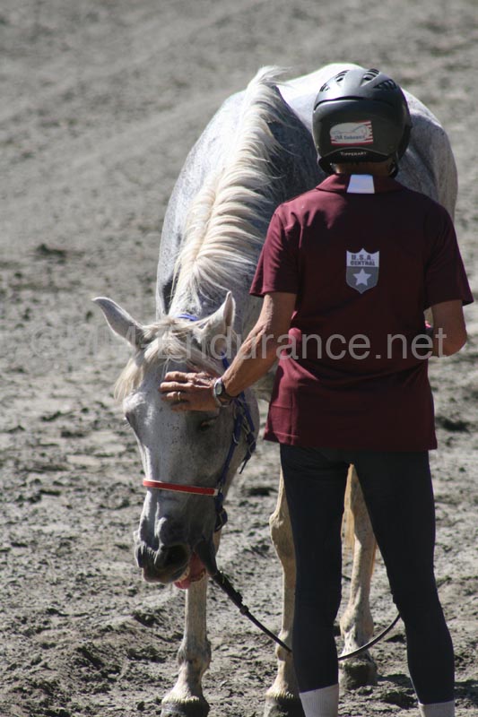 1109NAETC_484