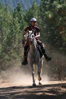 1109NAETC_458