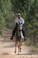 1109NAETC_463