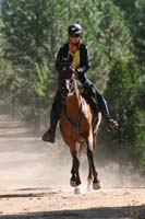 1109NAETC_466