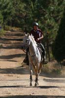 1109NAETC_469