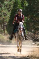 1109NAETC_470