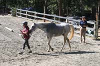 1109NAETC_475